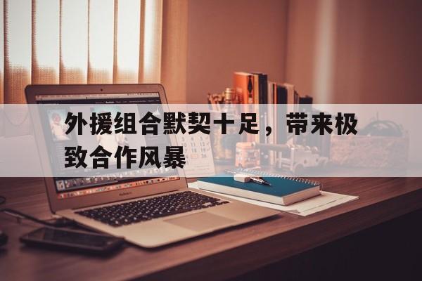 外援组合默契十足，带来极致合作风暴的简单介绍